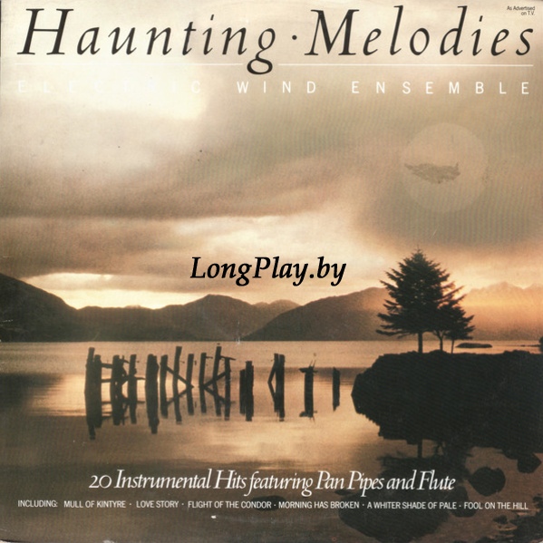Electric Wind Ensemble - Haunting Melodies ORIG ++++