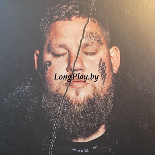 Rag'n'Bone Man - Life By Misadventure ORIG 2LP ++++