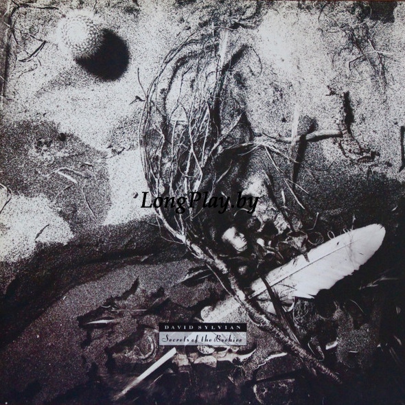 David Sylvian - Secrets Of The Beehive RIG ++++