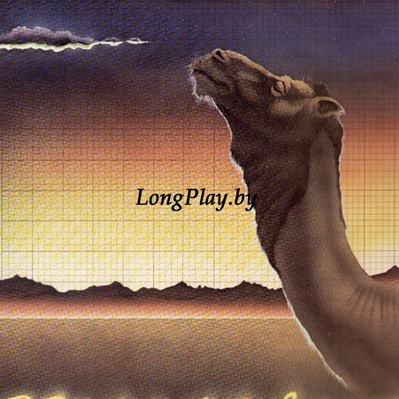 Camel ‎ - Breathless US ORIG ++++