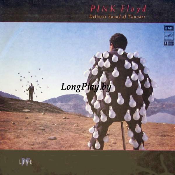 Pink Floyd  - Delicate Sound Of Thunder 2LP USSR ++++
