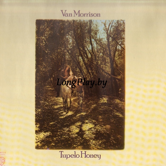 Van Morrison - Tupelo Honey ++++