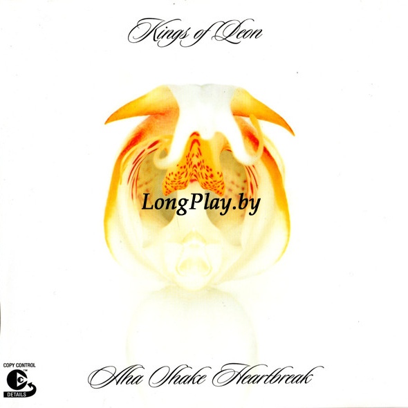 Kings Of Leon - Aha Shake Heartbreak CD ++++